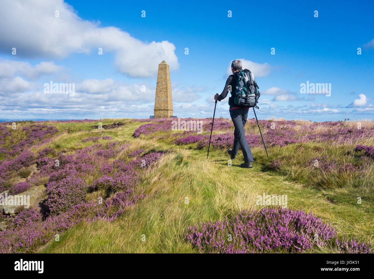 Hiker on the Cleveland Way near Captain Cook`s monument on Easby Moor, North York Moors National Park, England, UK Stock Photo
